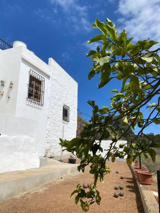 Casa Aya Vila Teror Exterior foto